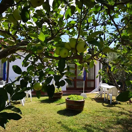 Valle Dei Venti *