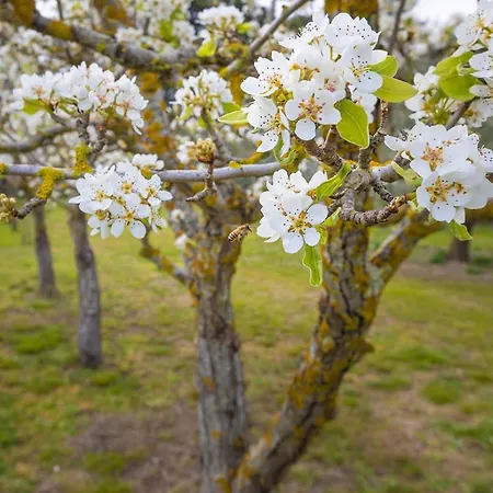 Valle Dei Venti Farm stay *