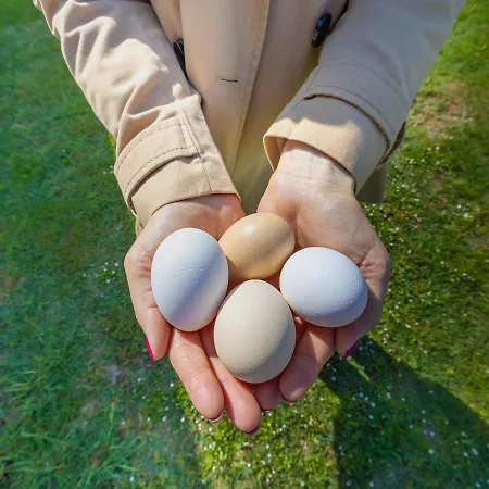 Valle Dei Venti Farm stay