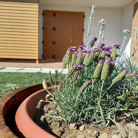 Valle Dei Venti Farm stay *