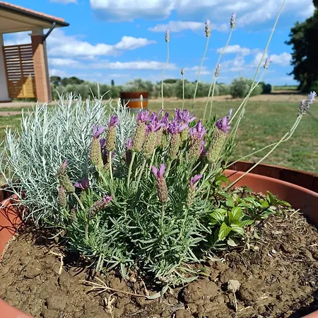 Valle Dei Venti Farm stay