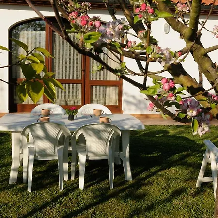 Feriegård Valle Dei Venti Populonia