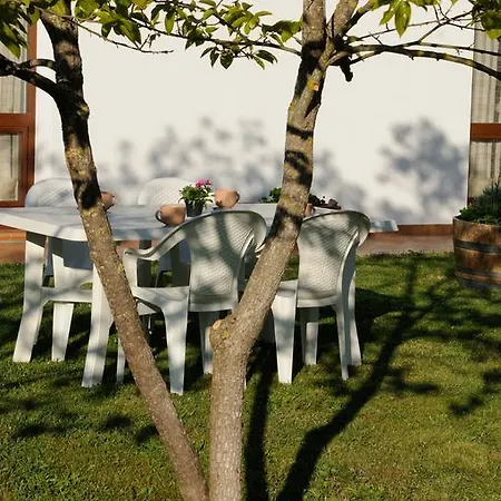 Valle Dei Venti Feriegård Populonia